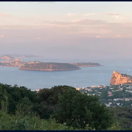 Da Giorgio E Lina Apartmán Ischia