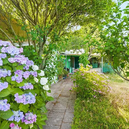 Da Giorgio E Lina Barano dʼIschia