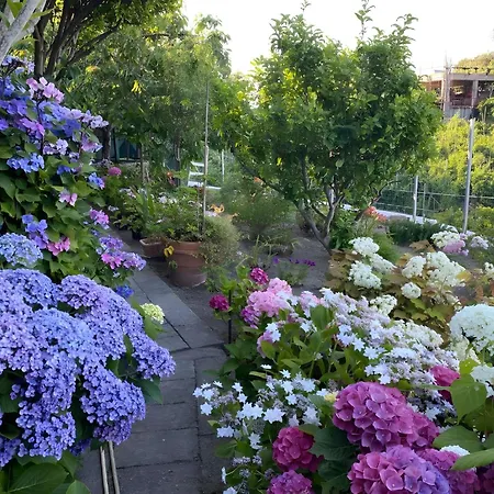 Da Giorgio E Lina Apartament *